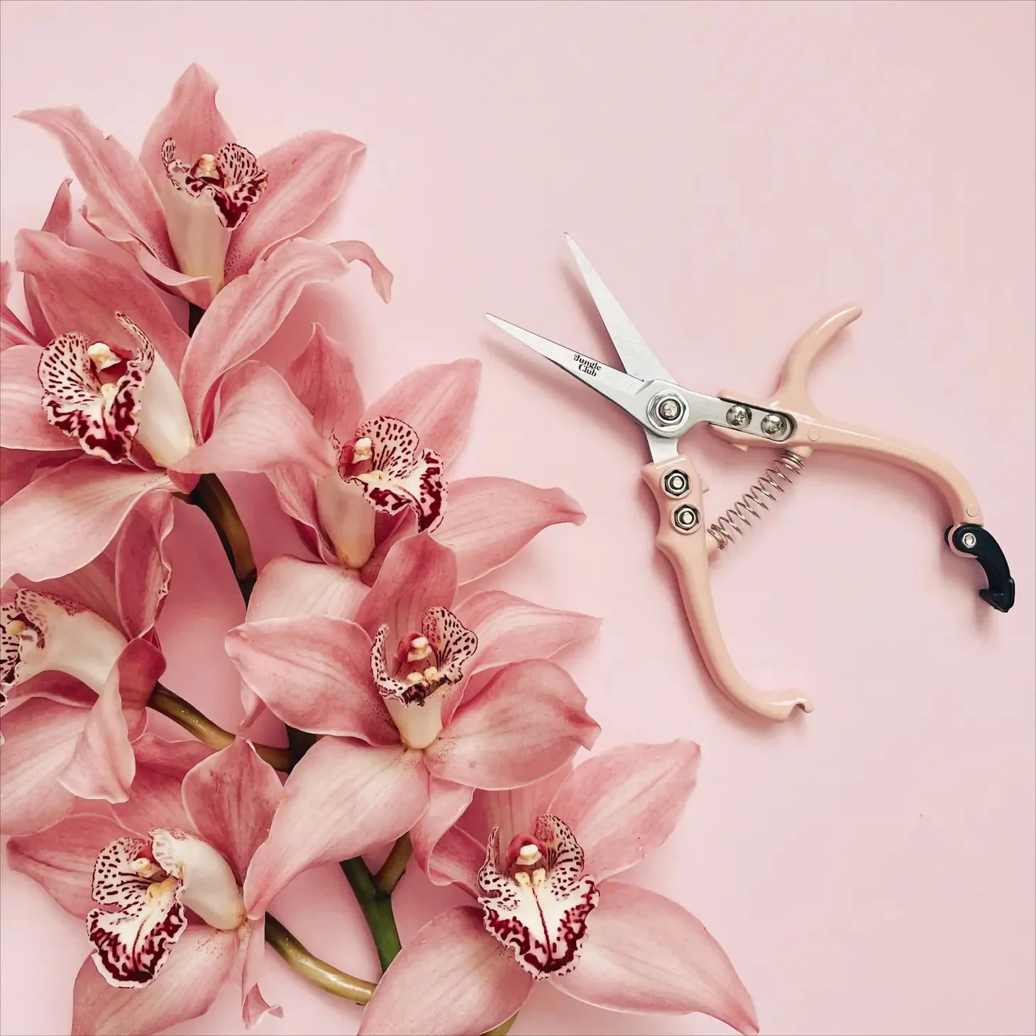 Pruning Shears - Pink